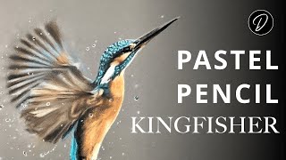 Pastel Pencils Lesson How To Draw A Kingfisher [upl. by Dick]