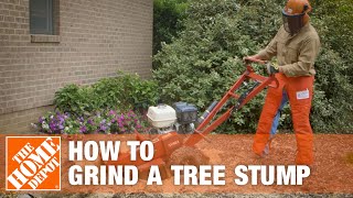 How To Grind A Tree Stump  The Home Depot [upl. by Furlong466]