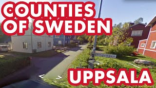 I found Turkey Turkiet in Sweden  Swedish Counties  GeoGuessr [upl. by Britte]