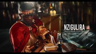 Jose Chameleone  NZIGULIRA Official Video [upl. by Ajile]