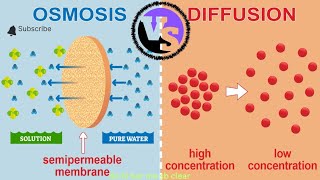 The Key Differences Osmosis and Diffusion Explained [upl. by Salisbury]