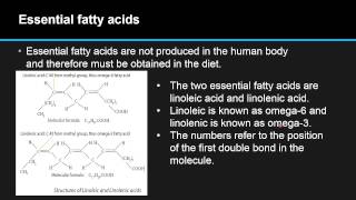 B44 Compare the structures of the two essential fatty acids [upl. by Jorgensen884]