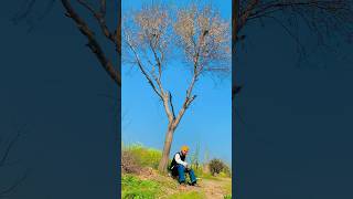 Dil Jeha Nahi Manda Song By Gulab Sidhu Punjabi Song shortvideo viralvideo ytshorts trending [upl. by Duer]