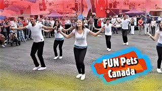 KOLBASTI🕺💃Beautiful Turkish Boys amp Girls Street Dance💃🕺Kolbastı Dans🕺💃Harika dans FUN Pets Canada [upl. by Reiss]