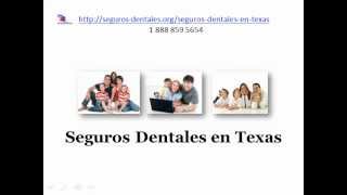 Seguros Dentales en Texas  Texas Dental Insurance [upl. by Malda473]