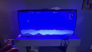 Hygger 24V DC wavemaker fluval sea flex 325 [upl. by Neehahs]