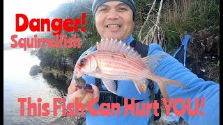 DANGER This Fish Can Hurt YOU Squirrelfish Catch fishing viral viralvideo trending [upl. by Casie]