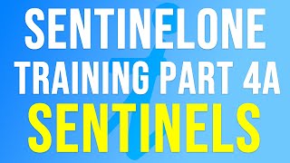 SentinelOne Training  Part 4a  SENTINELS [upl. by Halliday]