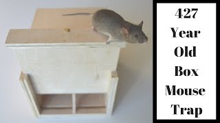 427 Year Old Style Mouse Trap In Action Mascall Square Box Mouse Trap [upl. by Welles]