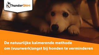 ThunderShirt  De natuurlijke kalmerende methode om vuurwerkangst bij honden te verminderen [upl. by Hukill]