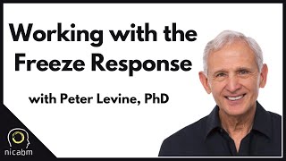 Working with the Freeze Response with Peter Levine PhD [upl. by Susejedairam489]