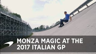 Monza Magic  Explore Italys famous F1 circuit [upl. by Lirbij]