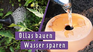 Bewässerung mit Ollas Praktische Gießhilfe selber bauen  MDR Garten [upl. by Keefer]