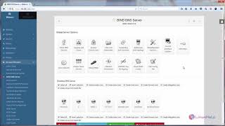 How to install and configure Bind DNS on Webmin [upl. by Lelah]