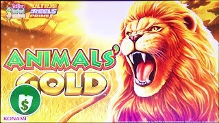 ⭐️ NEW  Animals Gold slot machine bonus [upl. by Kopple]