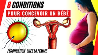 Fécondation chez la femme 6 conditions pour concevoir un bébé [upl. by Annoda]