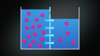 Diffusion Osmosis and Tonicity [upl. by Burd514]