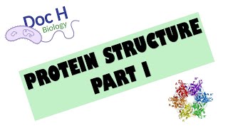 OCR ALevel Biology  Proteins  Part 1 212 Biological Molecules [upl. by Ligetti]