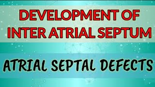 Development of Interatrial septumHUMAN EMBRYOLOGY [upl. by Nalehp]