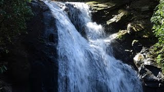 HIGH SHOALS FALLS TRAIL  GEORGIA [upl. by Shreeves247]