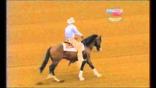 Reining WEG 2010 Kentucky part 15 [upl. by Anikas]