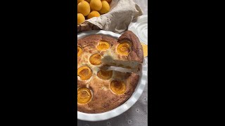 Quick Apricot Cake Easy Recipe in Just 35 Minutes [upl. by Sinnelg]