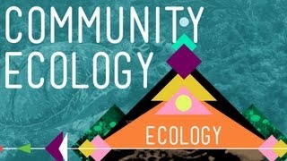 Community Ecology Feel the Love  Crash Course Ecology 4 [upl. by Turk]