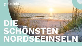 Das sind die 5 beliebsesten Nordseeinseln [upl. by Aihsercal]