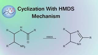 Cyclization With HMDS Mechanism  Organic Chemistry [upl. by Hamid54]