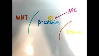 An Easy Way to Remember Familial Adenomatous Polyposis [upl. by Ibur]