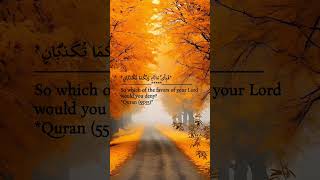 quran reminder recitation tilawat qurantranslation explore question peace [upl. by Airdnax]