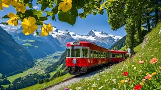 World’s Most Scenic Train Journey in Switzerland  Schynige Platte  Top of Swiss Tradition [upl. by Vastah]