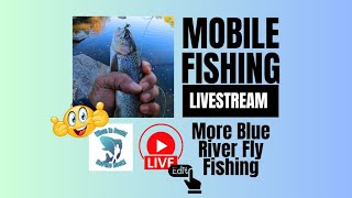 More Blue River Fly Fishing for Trout  Edited mobile fishing livestream [upl. by Lednor116]