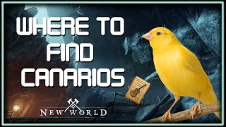 Where to Find Canarios Sheet Music  New World MMORPG [upl. by Fatimah]