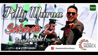 Pitty Murua  Un Monton De EstrellasAmores Como El Nuestro  Plaza De La Música 2017 VIVO [upl. by Marne67]