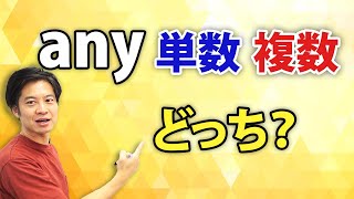 【中学英語】anyの後に来るのは単数形、複数形？ [upl. by Yenaiv]