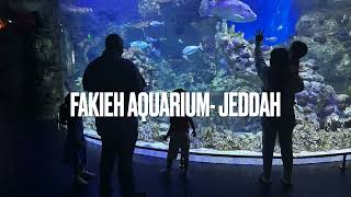 Don’t miss this place in Jeddah Jeddah Corniche Must Visit for Kids Fakieh Aquarium [upl. by O'Gowan]