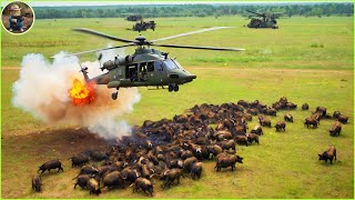 How Do Hunters And American Farmers Deal With Millions Of Wild Boars By Helicopter and Trap [upl. by Arihas650]