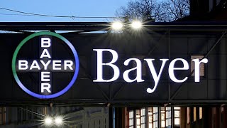 BayerAktie im freien Fall [upl. by Gelb]