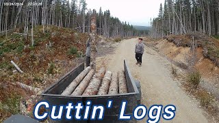 The start towards our off grid living cutting logs [upl. by Bullock]