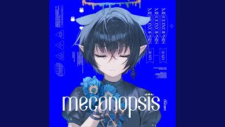 Meconopsis [upl. by Nabru]