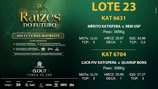 LOTE 23 [upl. by Notnats]