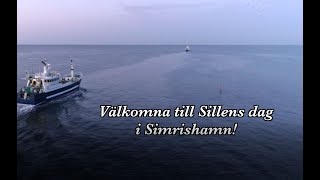 Därför firar Simrishamn Sillens dag [upl. by Rumit]