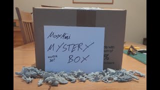 MaxMini Mystery Box Unboxing and Review Ep 7 [upl. by Guinna]