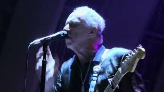 Jimmie Vaughan quotTexas Floodquot Live at the Hollywood Bowl 10122024 [upl. by Aehsan]