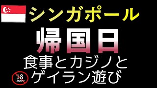 シンガポールからの帰国日。食事とカジノゲイラン。 [upl. by Adnaloy]