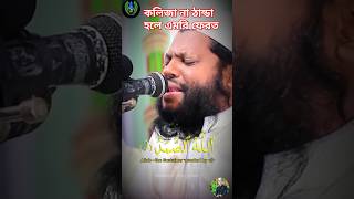 🌟qari saee dul Islam recitationtilawat tilawate foryou shortvideo short quran🌟 [upl. by Anegal]