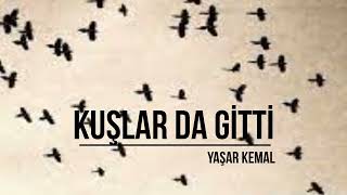 Kuşlar da Gitti  Yaşar Kemal  Sesli Kitap [upl. by Prem940]