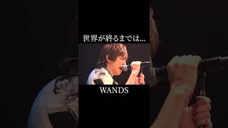 世界が終るまでは  WANDS【歌ってみた】 shorts [upl. by Rasaec]