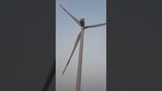 Wind power plants located in Mannar Sri Lanka [upl. by Submuloc]